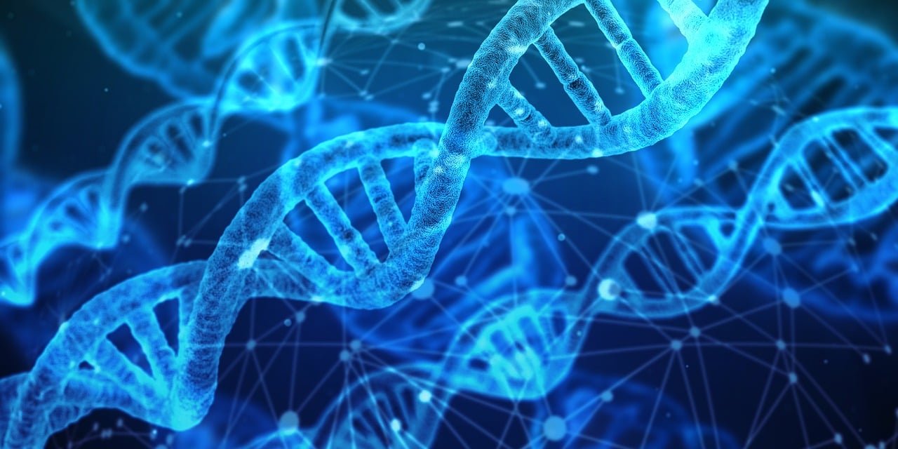 Ilustração de várias hélices de DNA em azul brilhante, ligadas por uma rede de linhas e pontos, sobre um fundo azul escuro