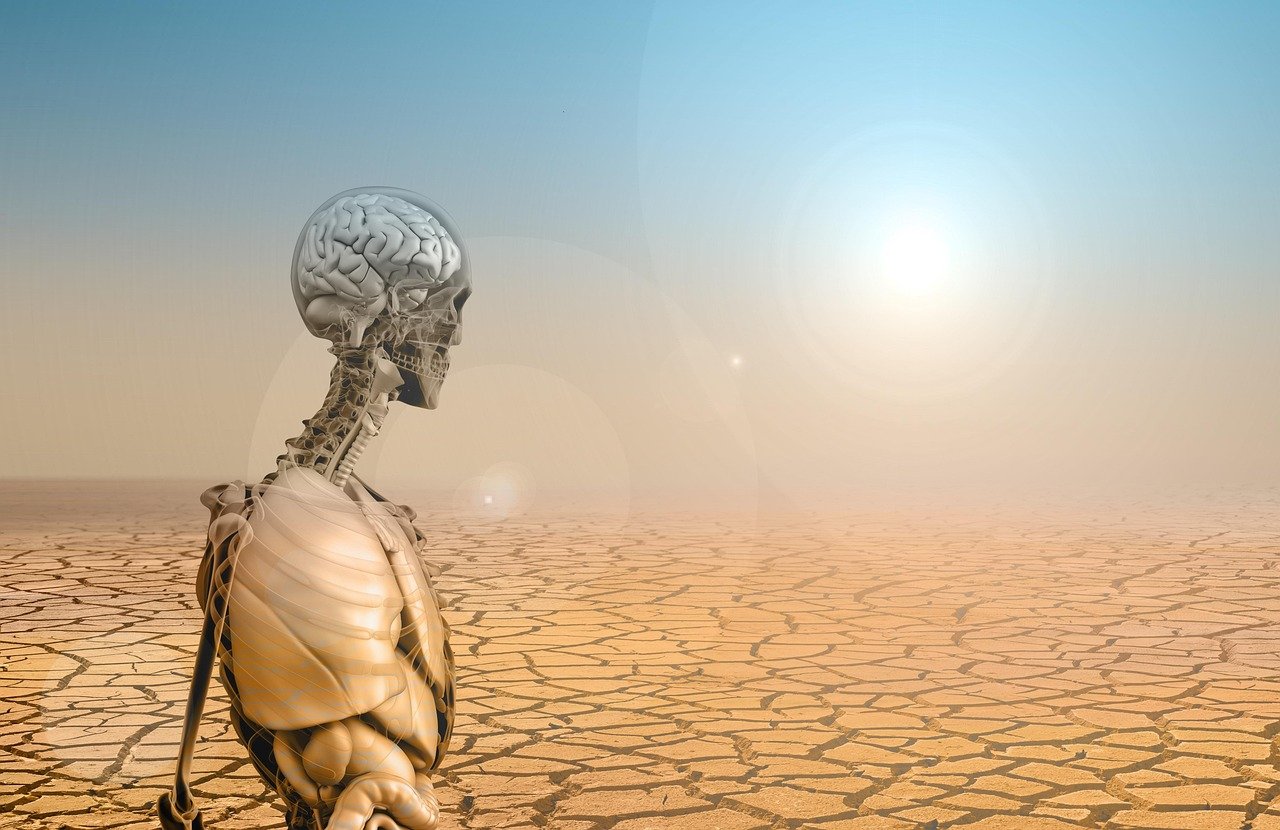 Ilustração de um esqueleto humano com cérebro e órgãos à mostra, de perfil, num chão de terra seca e rachada sob um sol forte e céu enevoado
